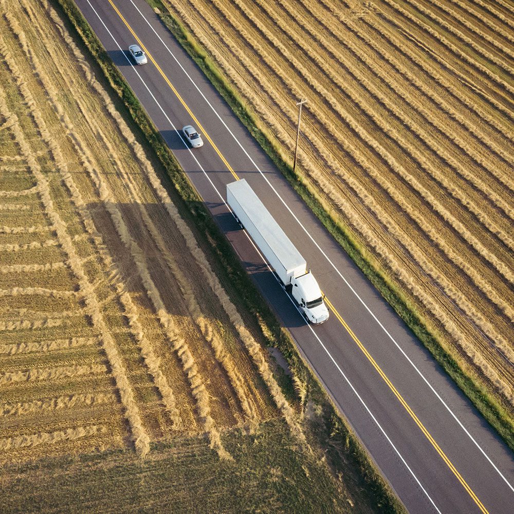 Truck in cornfield 